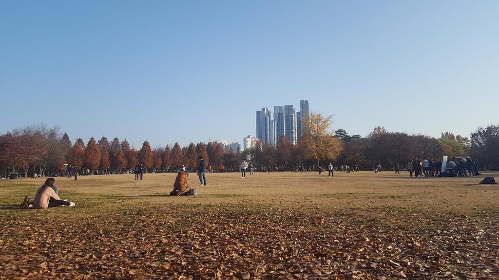 서울숲 게스트하우스 서울특별시 외부 사진