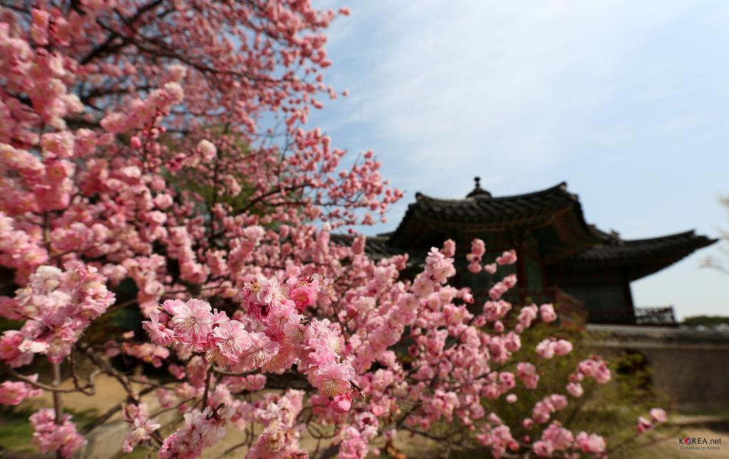 서울숲 게스트하우스 서울특별시 외부 사진