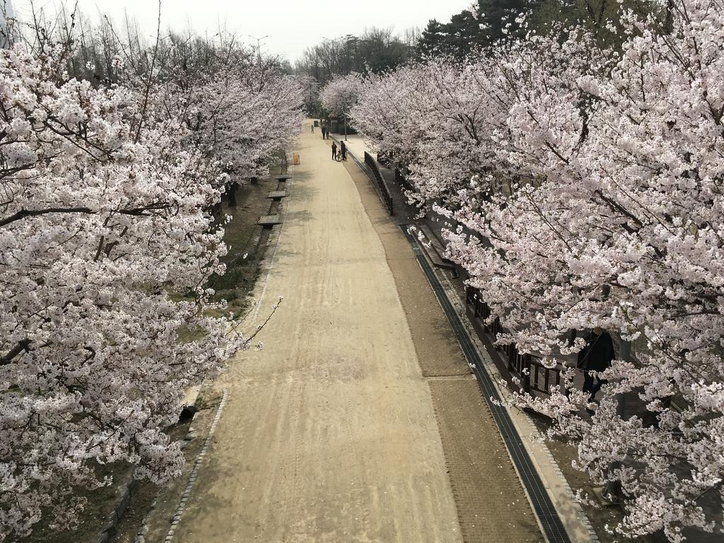 서울숲 게스트하우스 서울특별시 외부 사진