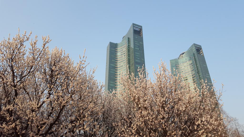 서울숲 게스트하우스 서울특별시 외부 사진